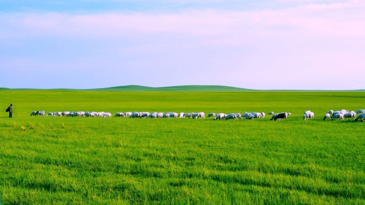 赤峰朵蘭格爾蒙餐廳電話號碼-第1張圖片