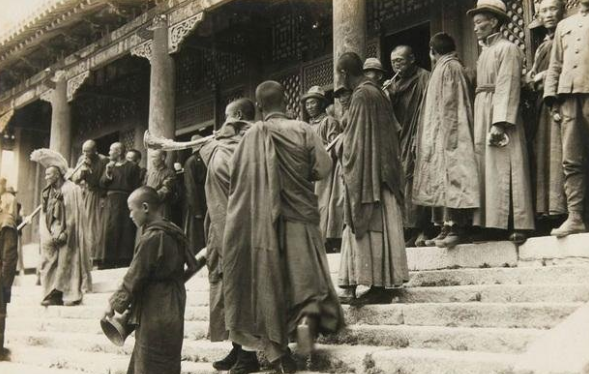 赤峰老孟寵物店地址電話號碼-第1張圖片