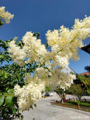 赤峰市泰和王府民宿電話號碼-第1張圖片