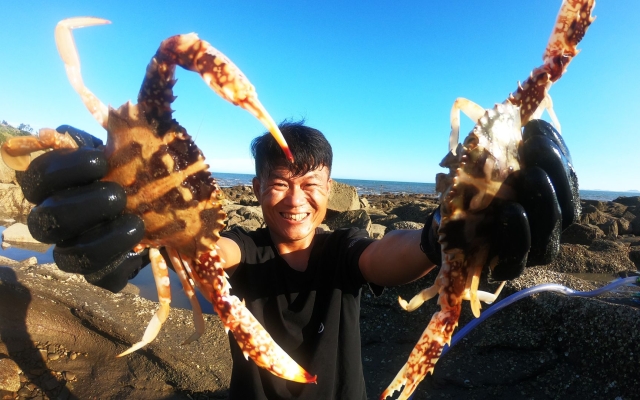 赤峰海猛物流電話多少號-第1張圖片