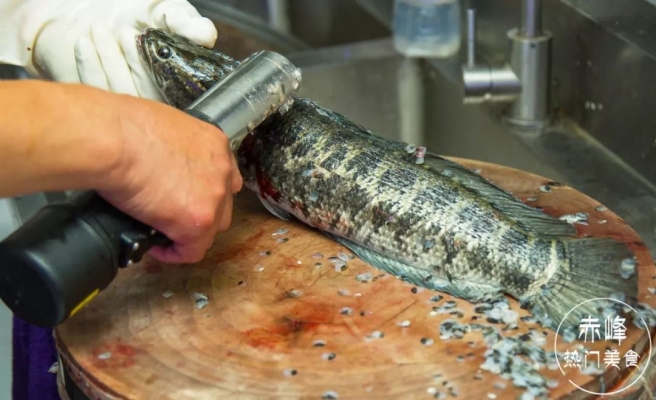 赤峰現(xiàn)殺牛肉店地址電話號碼-第1張圖片