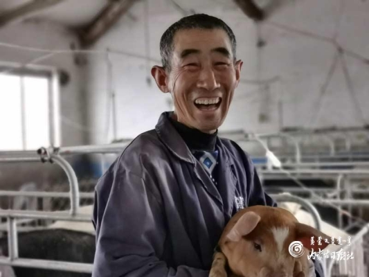 赤峰生豬市場地址電話號碼查詢-第1張圖片