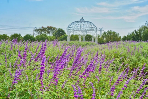 赤峰眾聯(lián)星空游樂(lè)場(chǎng)電話號(hào)碼-第1張圖片