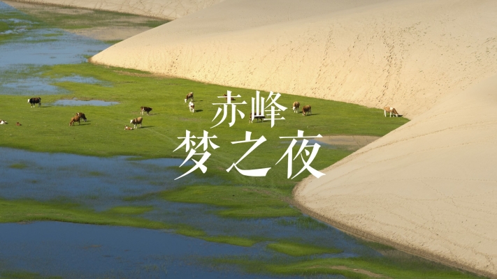 赤峰銥諾凍品批發(fā)電話號碼-第1張圖片