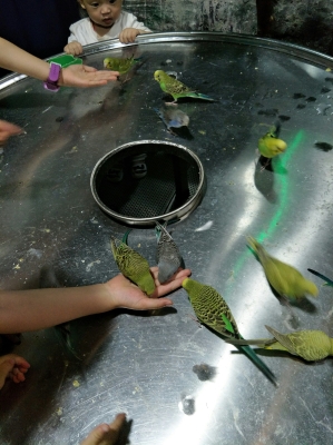 赤峰水族館門票訂購電話號碼-第1張圖片