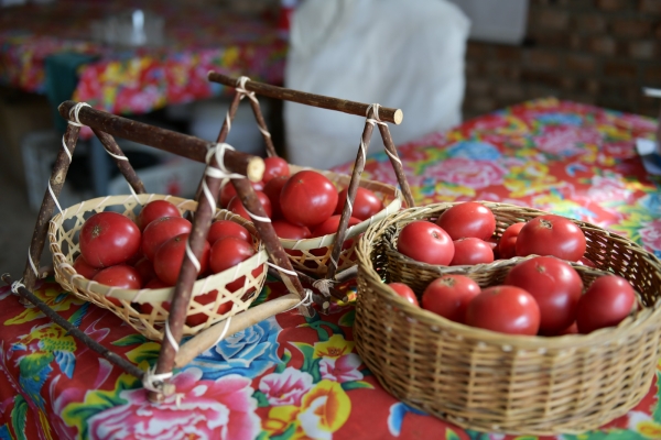 赤峰紅山玉魚館電話號(hào)碼多少-第1張圖片