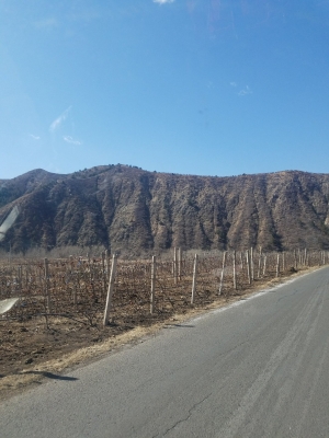 赤峰西橋煙花店電話多少號-第1張圖片