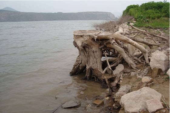 赤峰哈拉道口馬戲團(tuán)電話號(hào)碼-第1張圖片