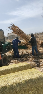 赤峰豬槽批發(fā)市場電話號碼-第1張圖片