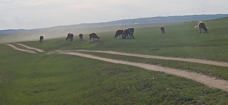 赤峰市京寬網(wǎng)絡(luò)客服電話號(hào)碼-第1張圖片