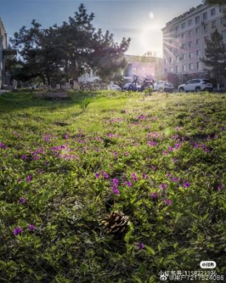 十六英里赤峰賓館-第1張圖片