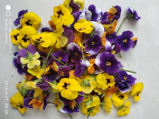 赤峰盤(pán)飾鮮花店地址電話號(hào)碼-第1張圖片