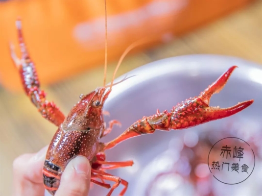 赤峰大排檔演藝集團(tuán)電話號(hào)碼-第1張圖片