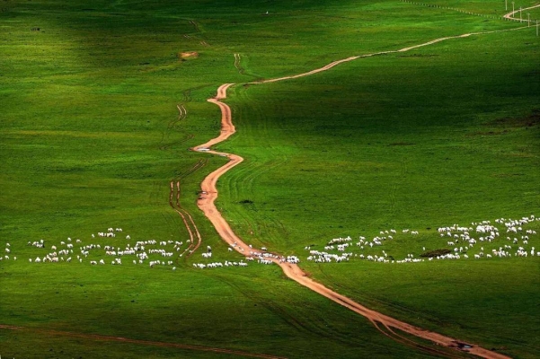 赤峰樂璽炸串店電話地址查詢-第1張圖片