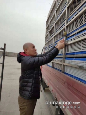 羽翔瑜伽赤峰店電話多少號(hào)-第1張圖片