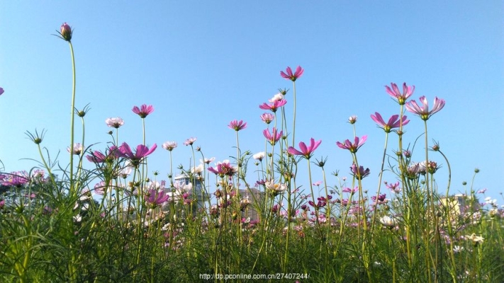 赤峰學(xué)院攝影社電話多少號-第1張圖片