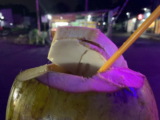 赤峰椰子水果店電話號(hào)碼多少-第1張圖片