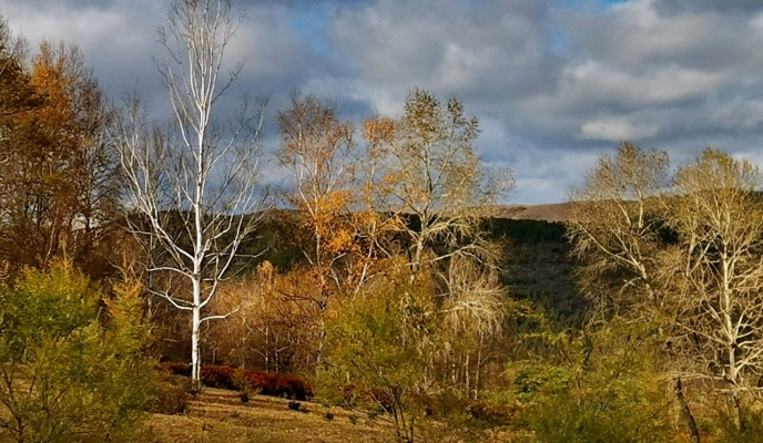 赤峰去美林谷網(wǎng)約車電話號碼-第1張圖片
