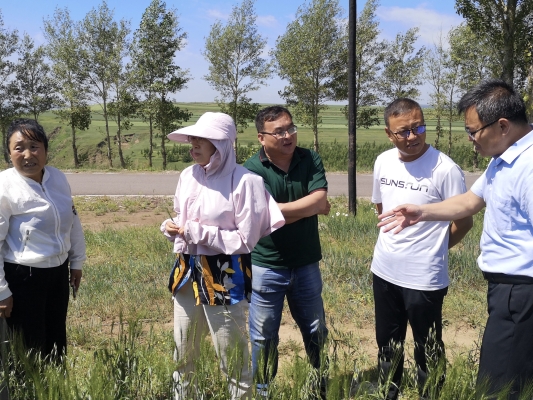 赤峰珠寶店合作電話號碼查詢-第1張圖片