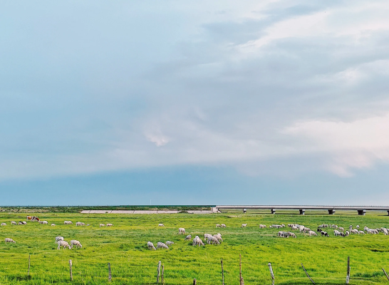 赤峰全瓷牙團購電話號碼查詢-第1張圖片