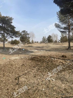 赤峰到敖漢的拼車(chē)群-第1張圖片