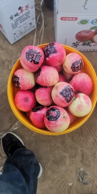 赤峰寧城塑料箱廠家電話號碼-第1張圖片