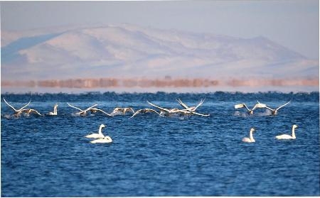 赤峰愛法貝樂園電話號碼查詢-第1張圖片