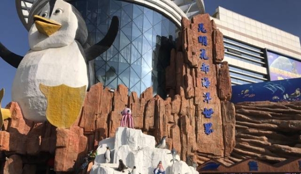 赤峰龍騰夢(mèng)幻海洋館電話號(hào)碼-第1張圖片