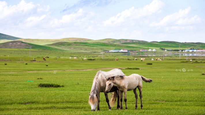 赤峰赫麗美容院地址電話號(hào)碼-第1張圖片