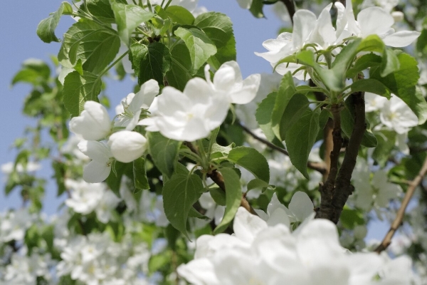 赤峰市白柳社區(qū)物業(yè)電話號碼-第1張圖片