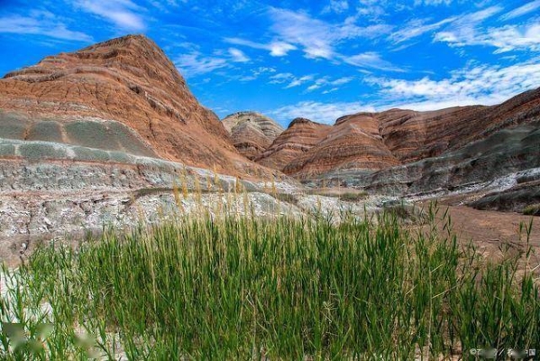 赤峰市地質(zhì)二中電話-第1張圖片