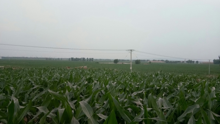 內(nèi)蒙古赤峰乃林小學(xué)電話是多少-第1張圖片