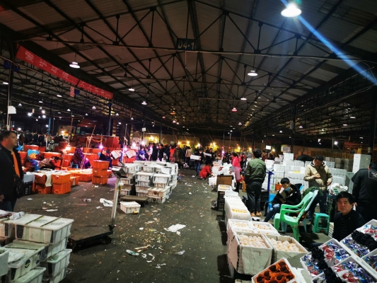 赤峰土豆丸子批發(fā)市場電話號碼-第1張圖片