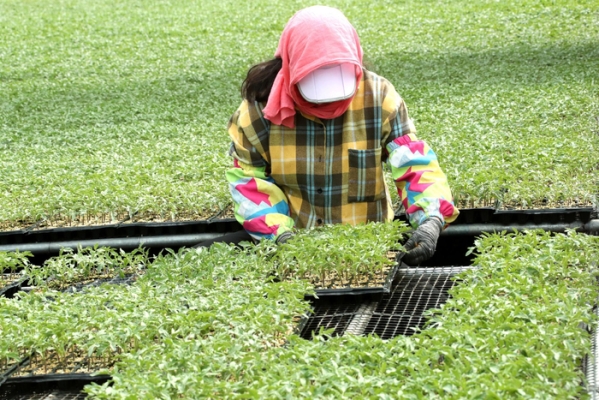 赤峰市育苗室電話號碼查詢-第1張圖片