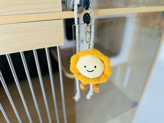 赤峰圣寵寵物店地址電話號(hào)碼-第1張圖片