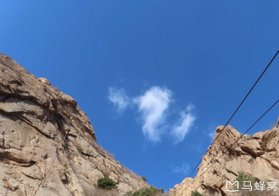 赤峰萬達馬戲團電話號碼-第1張圖片