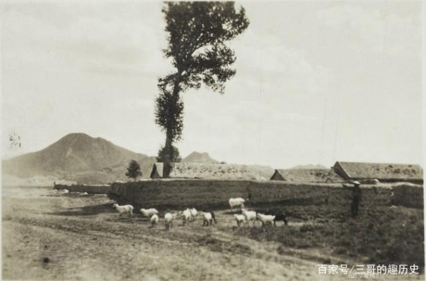 赤峰巴林右旗地毯廠電話是多少-第1張圖片