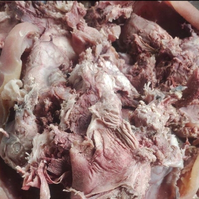 赤峰二道街羊頭店電話(huà)地址查詢(xún)-第1張圖片