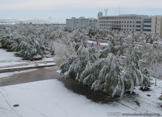 赤峰晨練體育場(chǎng)電話(huà)號(hào)碼查詢(xún)-第1張圖片