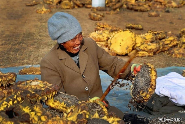 赤峰四家子鎮(zhèn)市場電話號碼-第1張圖片