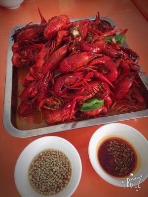 赤峰賣大龍蝦電話號碼多少-第1張圖片