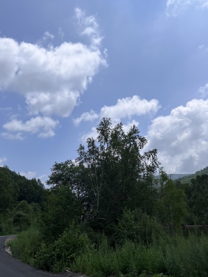 赤峰美匯理發(fā)店電話地址查詢-第1張圖片