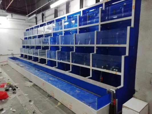 赤峰海鮮缸制作廠家電話號(hào)碼-第1張圖片