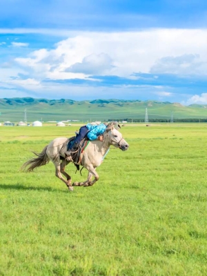 內(nèi)蒙古赤峰楠迪酒店電話號碼-第1張圖片