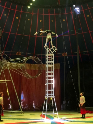 赤峰馬戲團直播電話多少號-第1張圖片