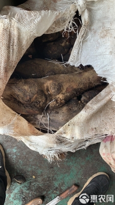 赤峰毛蹄批發(fā)市場(chǎng)電話號(hào)碼-第1張圖片