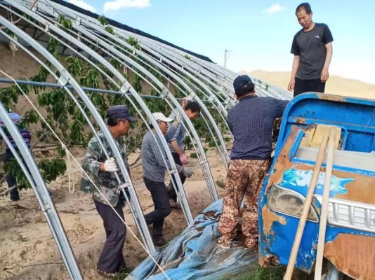 赤峰櫻桃團(tuán)購(gòu)電話多少啊-第1張圖片