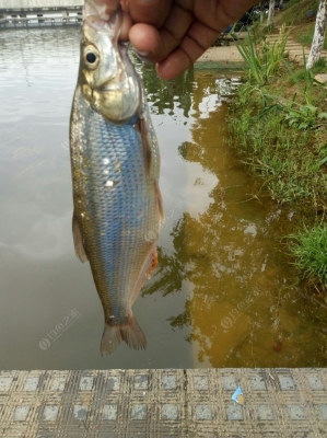 赤峰橋北釣魚釣場地址電話號碼-第1張圖片