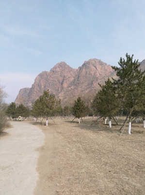 赤峰英虎銷售部電話地址查詢-第1張圖片