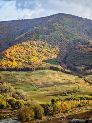 赤峰雨馨足浴電話多少號碼-第1張圖片
